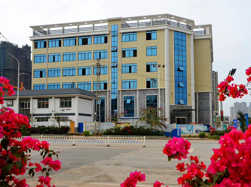 ������(�й���)���޹�˾����