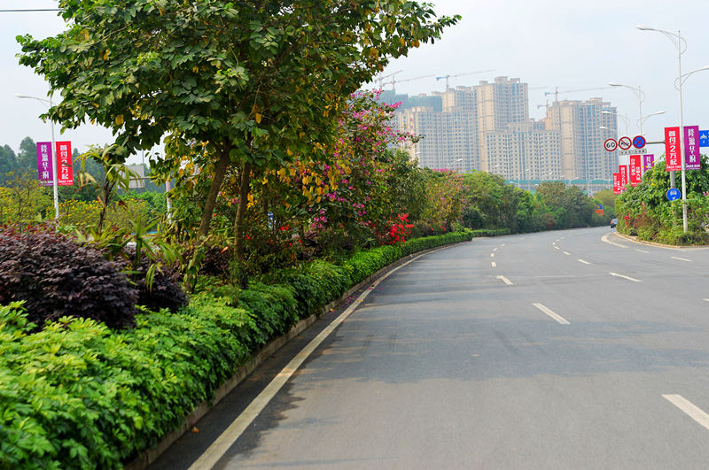 ������(�й���)���޹�˾����