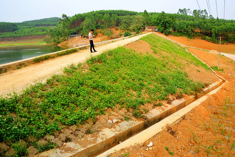 ������(�й���)���޹�˾����