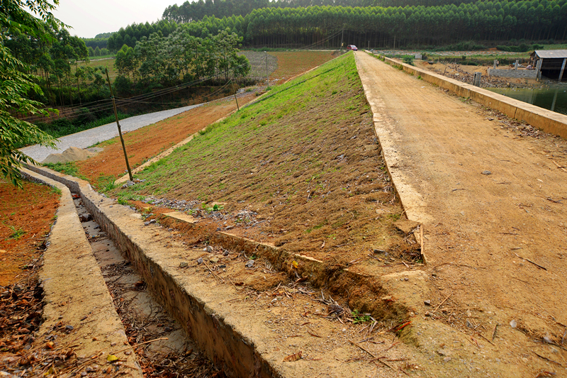 ������(�й���)���޹�˾����