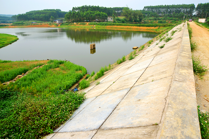 ������(�й���)���޹�˾����