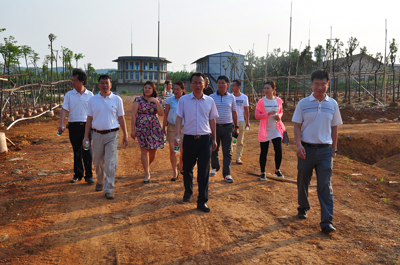 ������(�й���)���޹�˾����