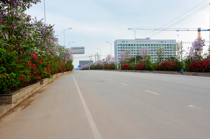 ������(�й���)���޹�˾����