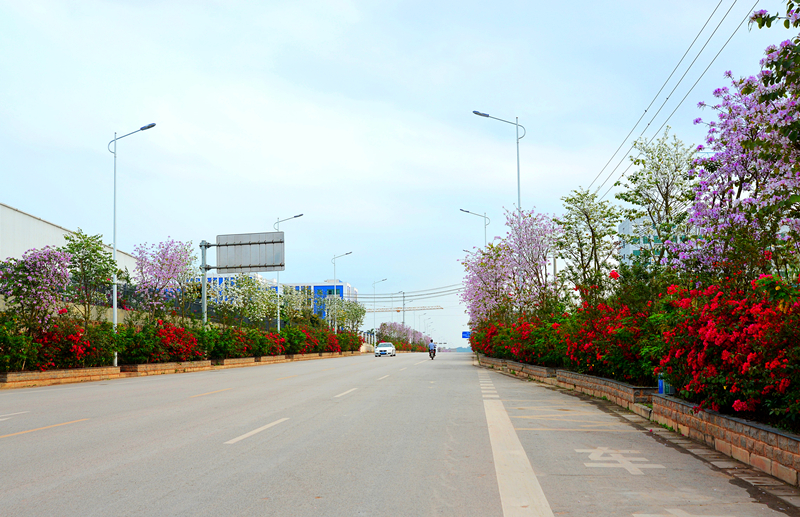 ������(�й���)���޹�˾����