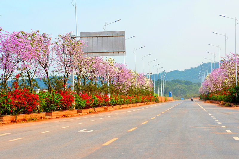 ������(�й���)���޹�˾����