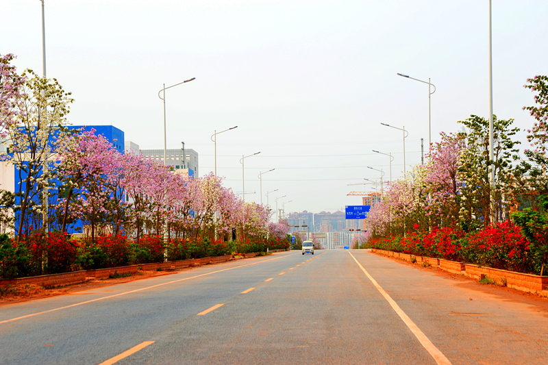 ������(�й���)���޹�˾����