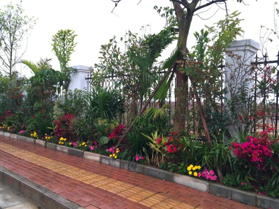 ������(�й���)���޹�˾����