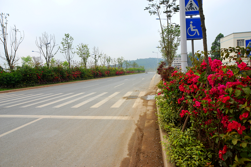 ������(�й���)���޹�˾����