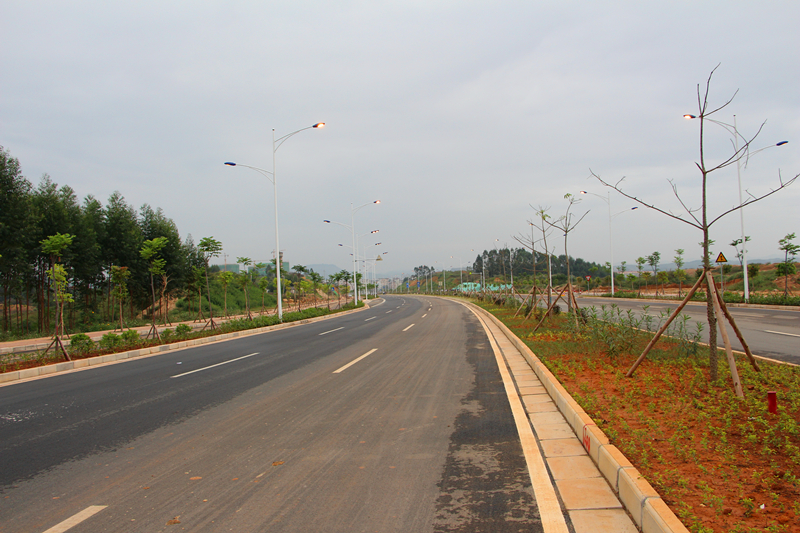 ������(�й���)���޹�˾����