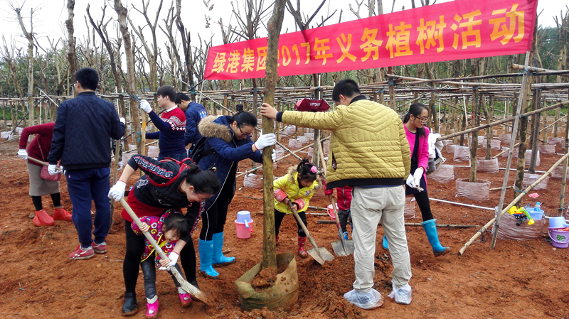 ������(�й���)���޹�˾����