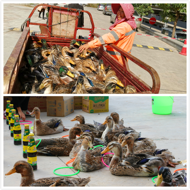 ������(�й���)���޹�˾����