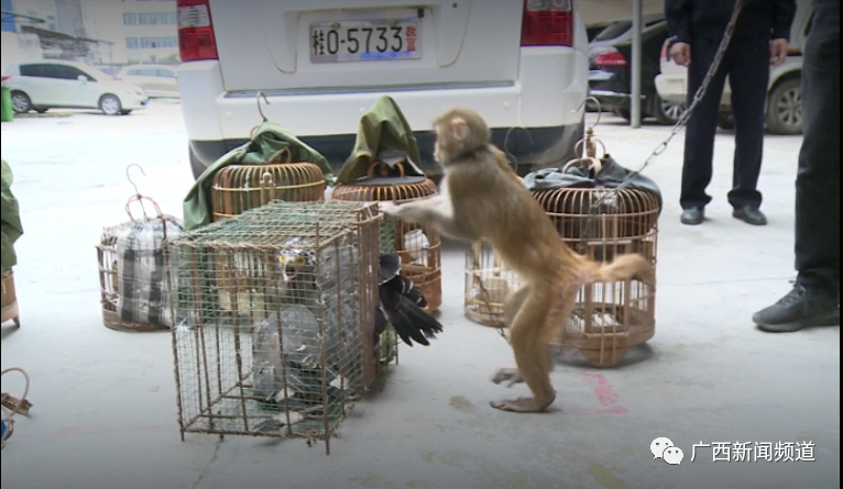 ������(�й���)���޹�˾����