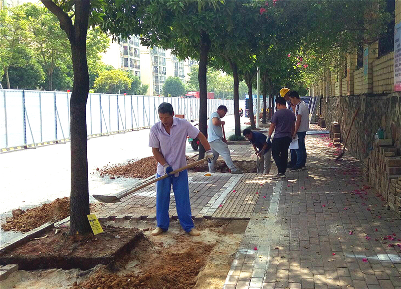 ������(�й���)���޹�˾����