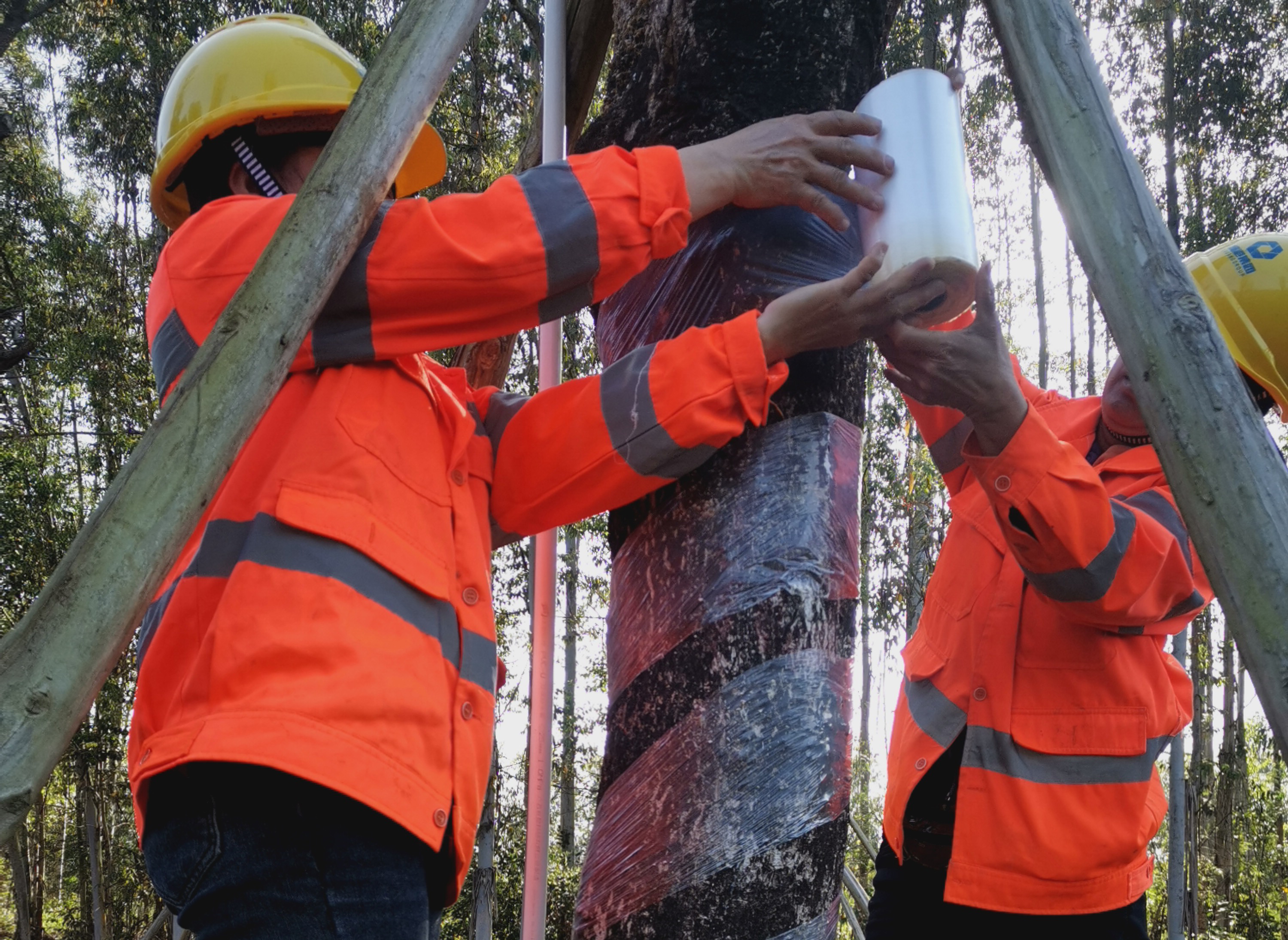 ������(�й���)���޹�˾����