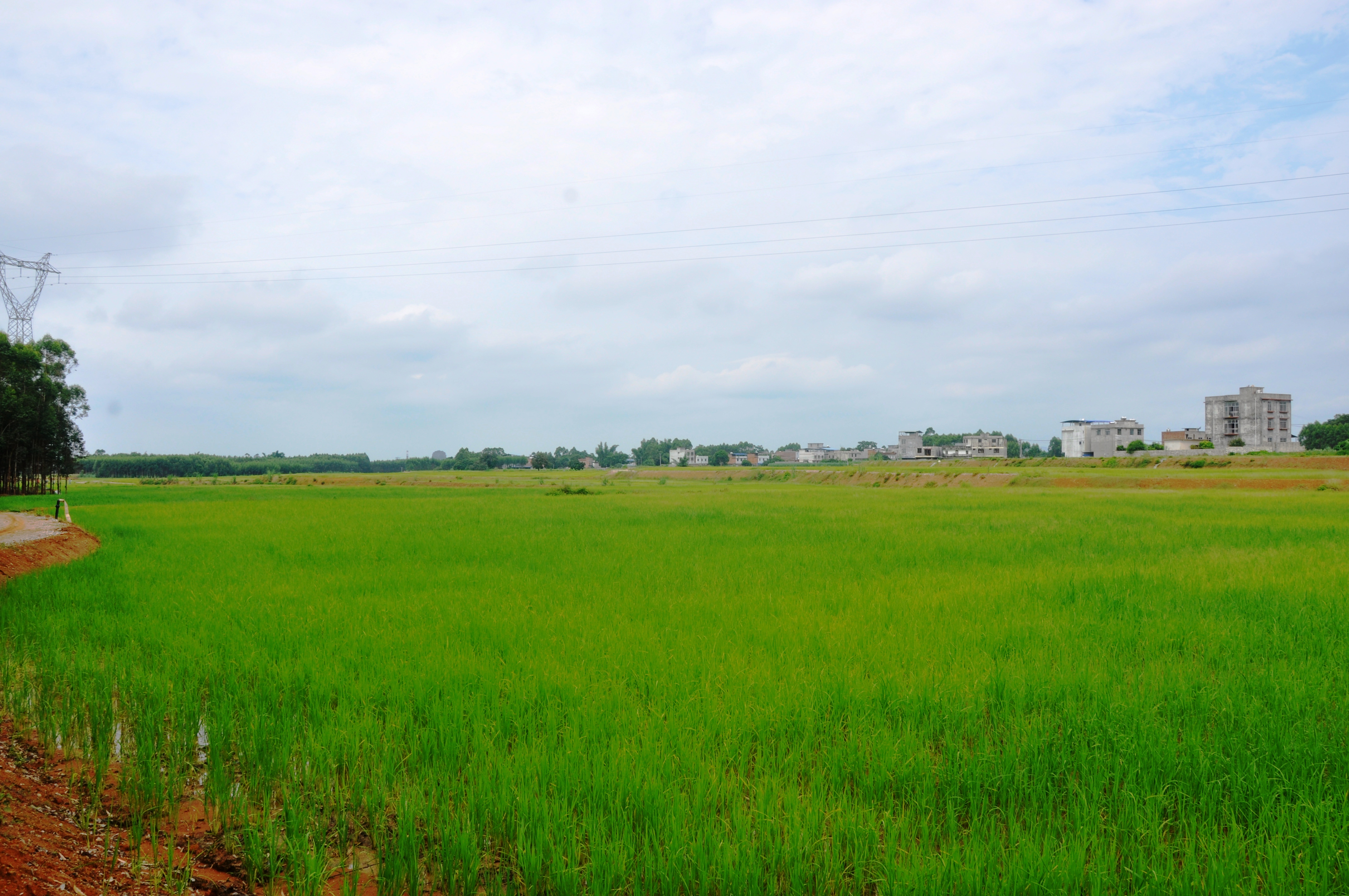 ������(�й���)���޹�˾����