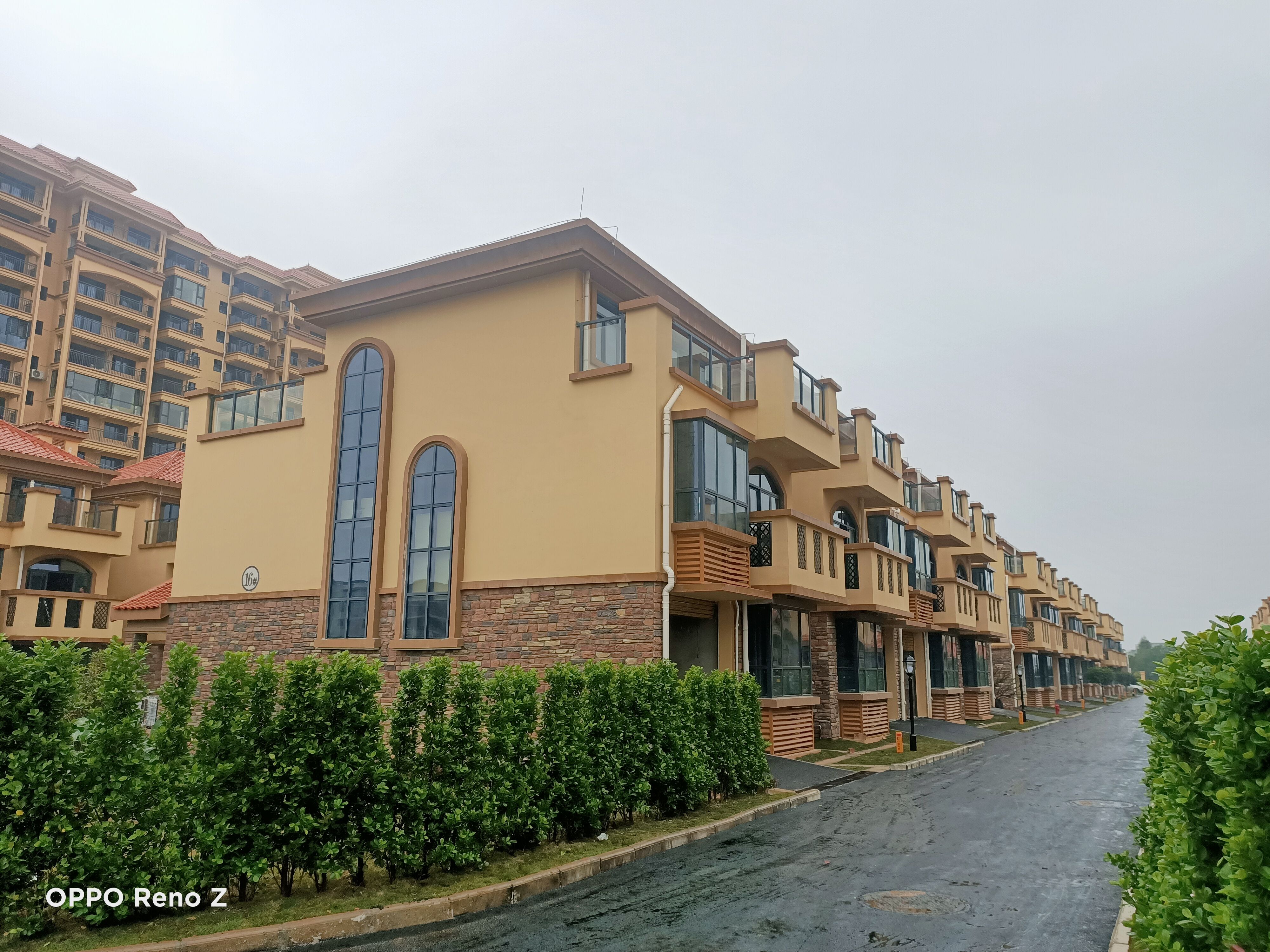 ������(�й���)���޹�˾����